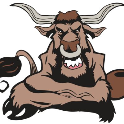 AR5 BULL 17 RQC Thumbnail