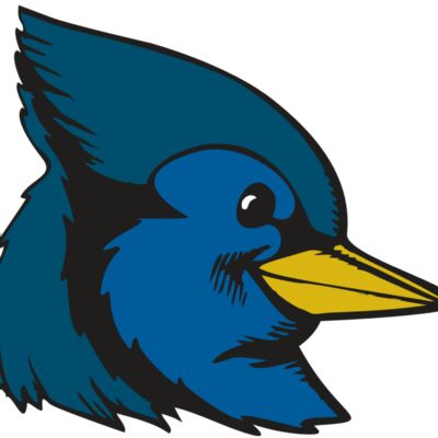 BAW BLUEJAY 07 RC Thumbnail