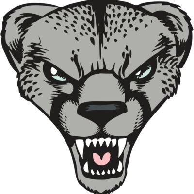 BAW CHEETAH 15 RC Thumbnail