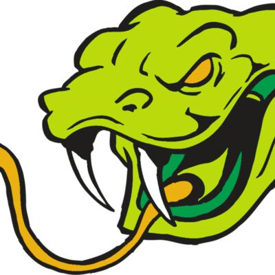 AR SNAKE 11 RC Thumbnail