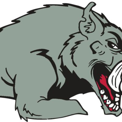 AR RAZORBACK 14 RC Thumbnail