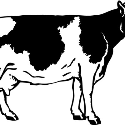 COW024 Thumbnail