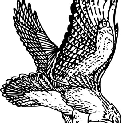 EAGLE026 Thumbnail