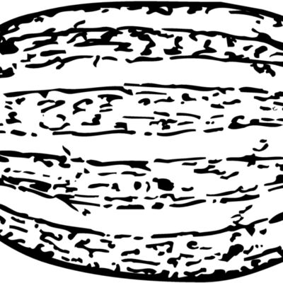 FRUIT001 Thumbnail