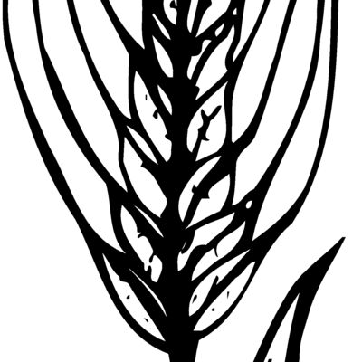 GRAIN009 Thumbnail